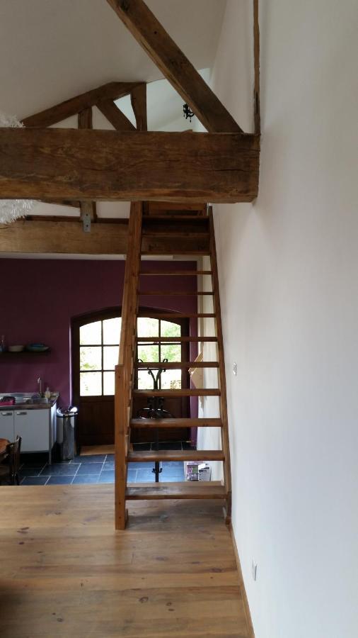 Apartamento Le Peyroutet Cazaux-Villecomtal Exterior foto